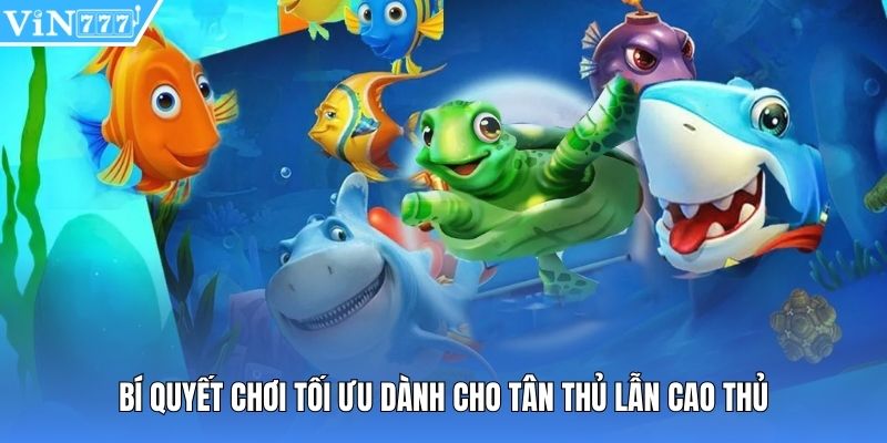 Bí quyết chơi tối ưu dành cho tân thủ lẫn cao thủ