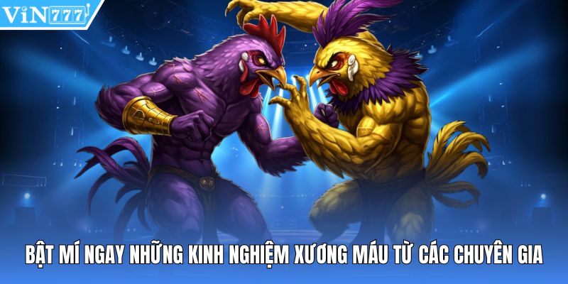 Bật mí ngay những kinh nghiệm xương máu từ các chuyên gia