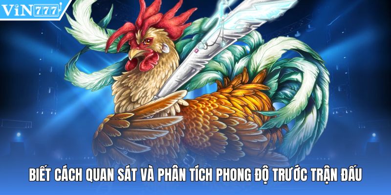 Biết cách quan sát và phân tích phong độ trước trận đấu