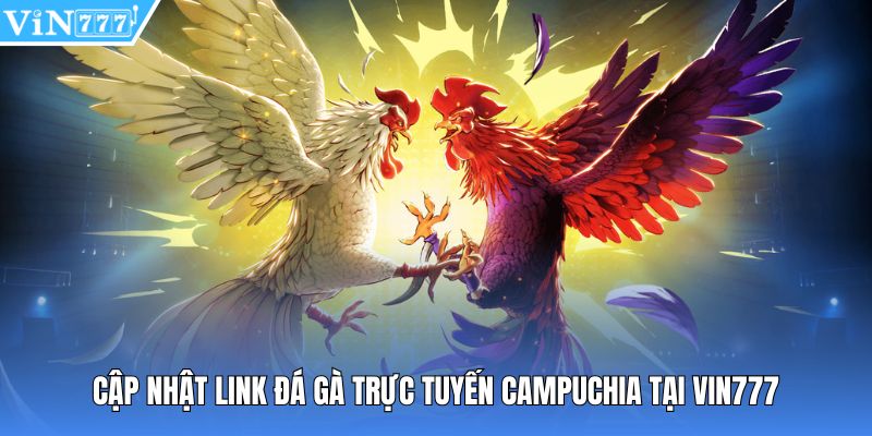 Cập nhật link đá gà trực tuyến Campuchia tại Vin777