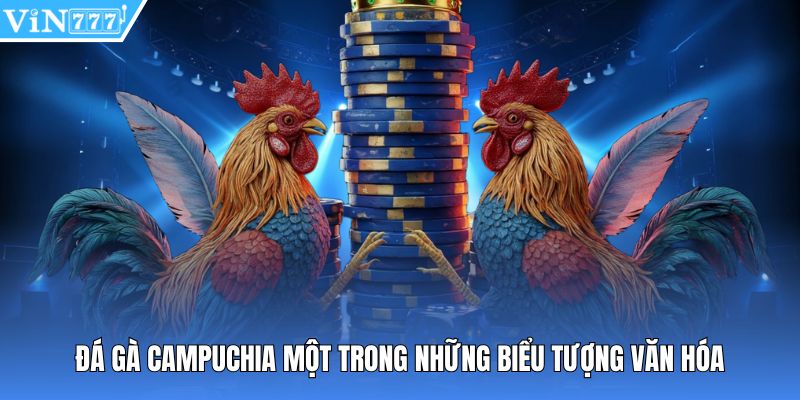 Đá gà Campuchia một trong những biểu tượng văn hóa