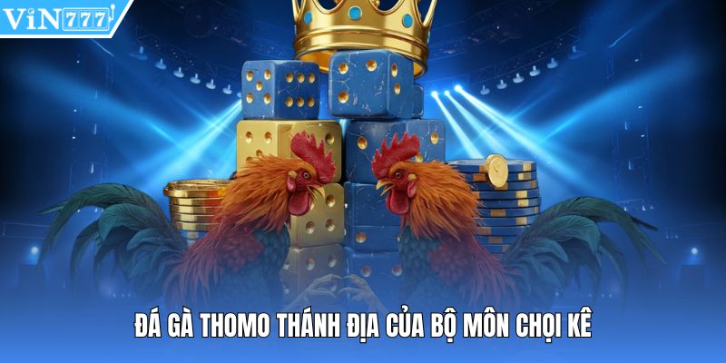 Đá gà Thomo thánh địa của bộ môn chọi kê