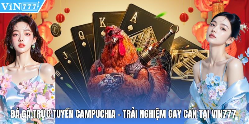 Đá Gà Trực Tuyến Campuchia - Trải Nghiệm Gay Cấn Tại Vin777