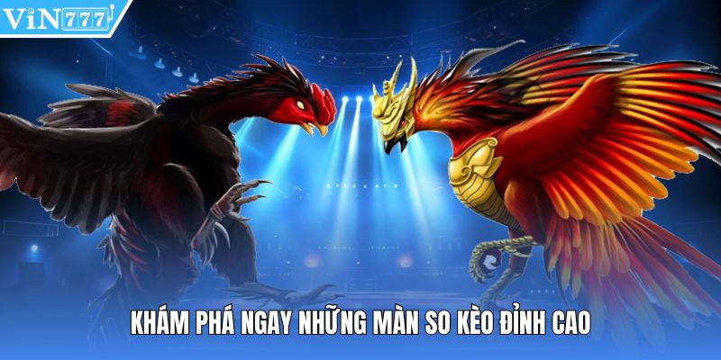 Khám phá ngay những màn so kèo đỉnh cao