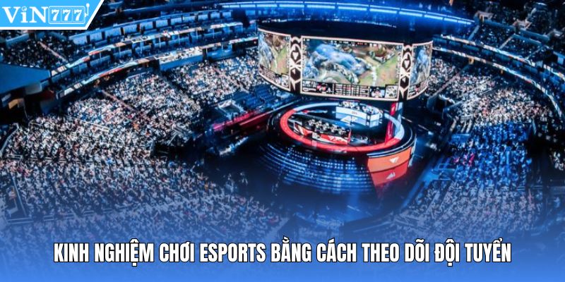 Kinh nghiệm chơi esports bằng cách theo dõi đội tuyển