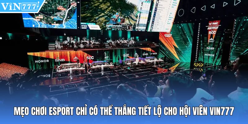 Mẹo chơi esport chỉ có thể thắng tiết lộ cho hội viên Vin777