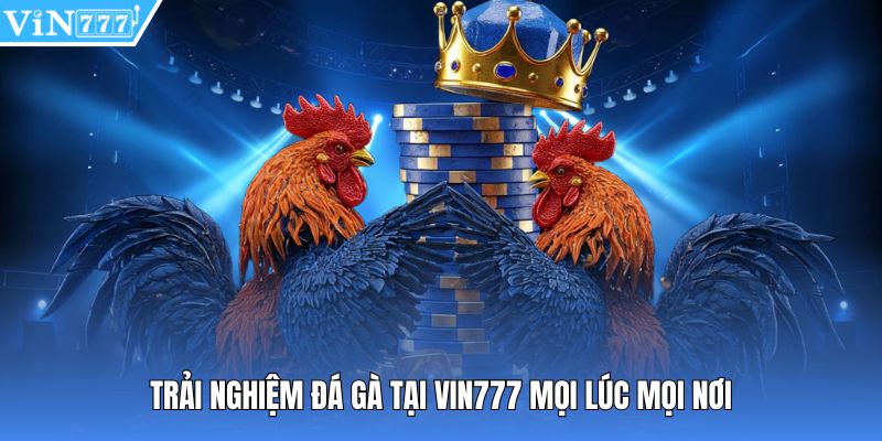 Trải nghiệm đá gà tại Vin777 mọi lúc mọi nơi