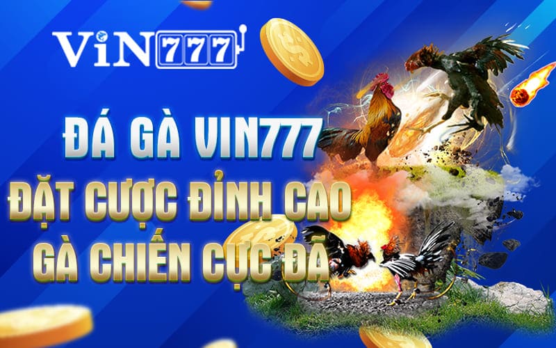 Thắng lớn cùng gà chiến Vin7777 