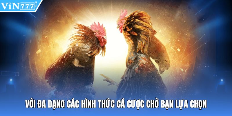 Với đa dạng các hình thức cá cược chờ bạn lựa chọn